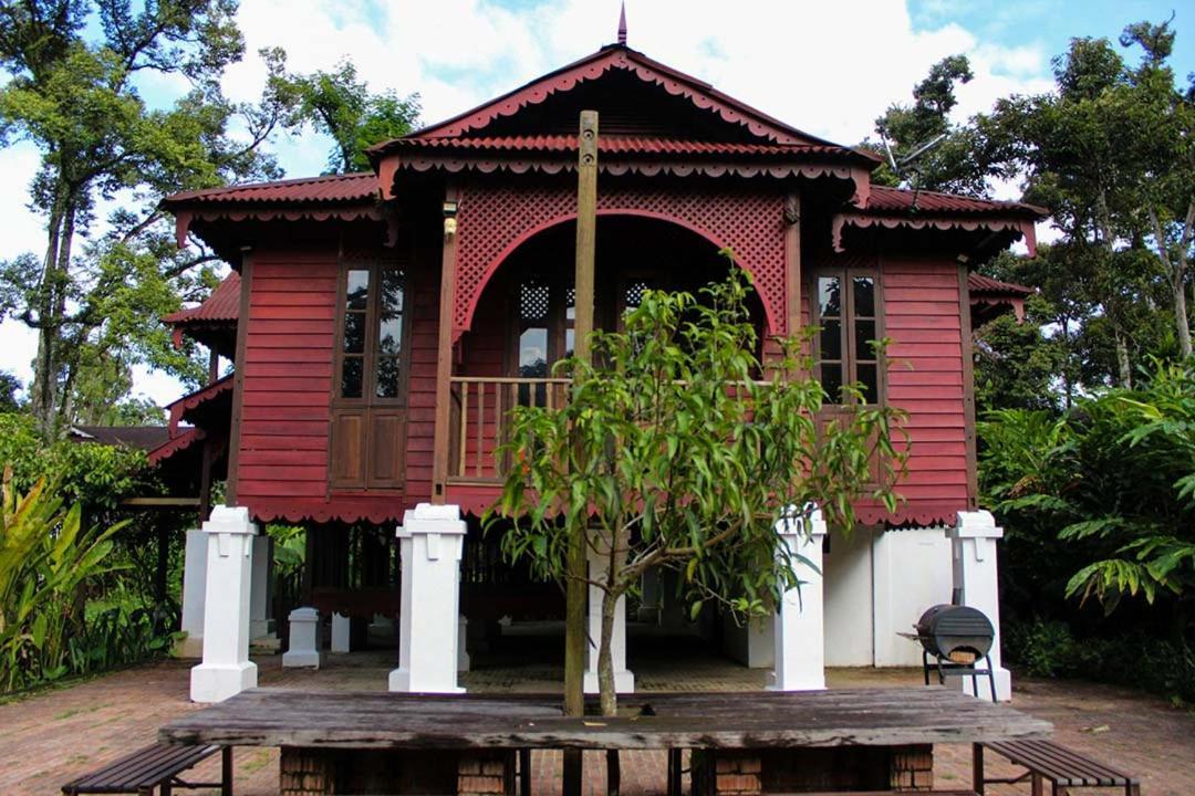 Bagas Zakariah Orchard