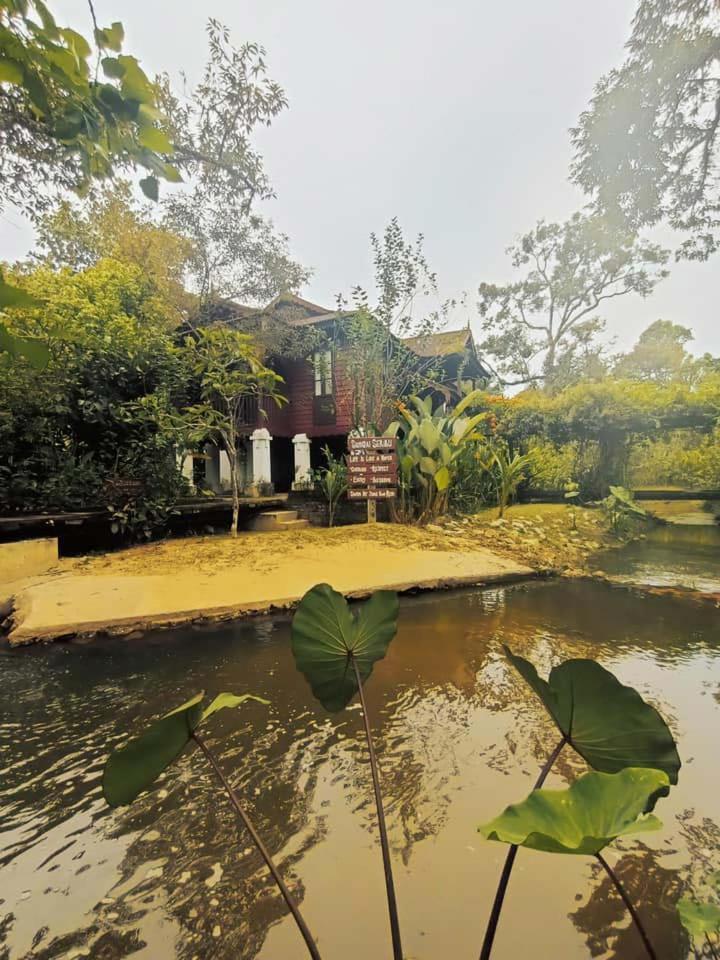 Bagas Zakariah Orchard *
